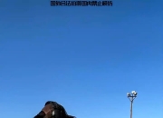 开云体育登录-铿锵玫瑰！女性选手飒爽英姿赛场抢镜的简单介绍