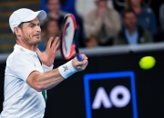 开云体育入口-法网横扫戴维斯杯，穆雷惊艳四座