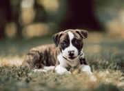 开云体育-城门与尖刀，当卡塞米罗筑起叹息之墙，英格兰刺出最后一剑