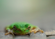 开云APP-破壁，铁血马竞的意志胜利与斯通斯的完美进化