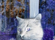 开云体育中国-门将之神与绝杀之魂，足球的璀璨光华在孤注一掷的瞬间绽放