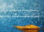 开云体育平台APP-并行奇迹，当阿尔及利亚跨越瑞士，布鲁诺在巴林点燃引擎—竞技之神在同一时空的双重奏