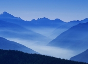 开云平台-唯一性，当卡马文加的炽热独舞，遇见佛罗伦萨的南美闪电