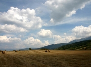 开云-东决战局中的尼罗河暗涌，里昂一波流如何带走埃及足球的骄傲