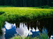 开云体育中国-磐石与闪电，布雷默的90分钟铁壁，与雷恩15分钟的致命风暴