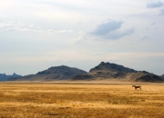 开云体育中国-决胜之道，从红牛赛车到魔术青年军，成功都藏在细节里