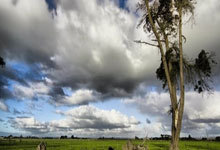 开云体育登录-在历史交叉口，德甲的铁血意志与CBA的战术革命如何于同一夜晚共振