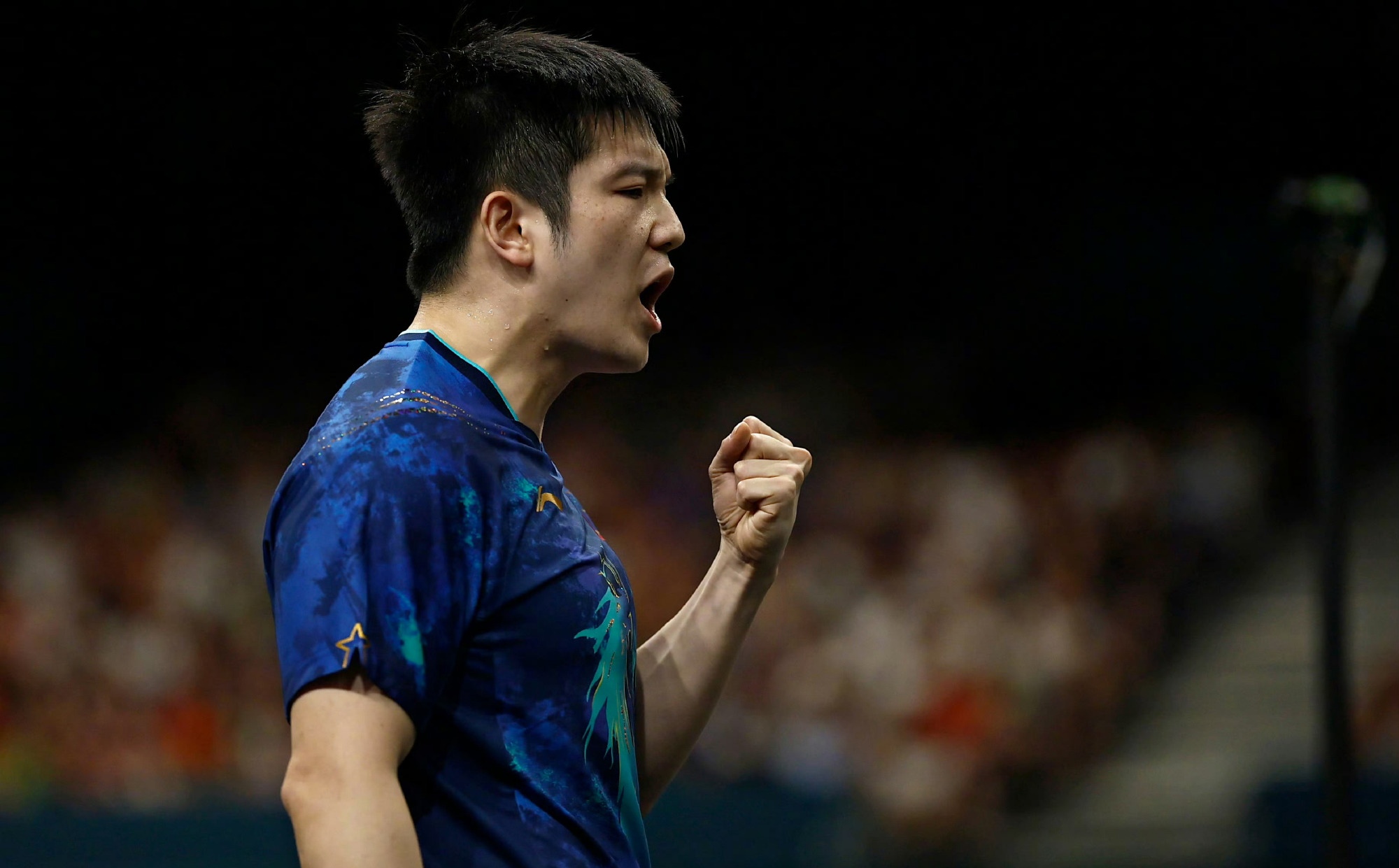 奥地利队险胜法国队,樊振东带队取胜 奥地利队险胜法国队,樊振东带队取胜