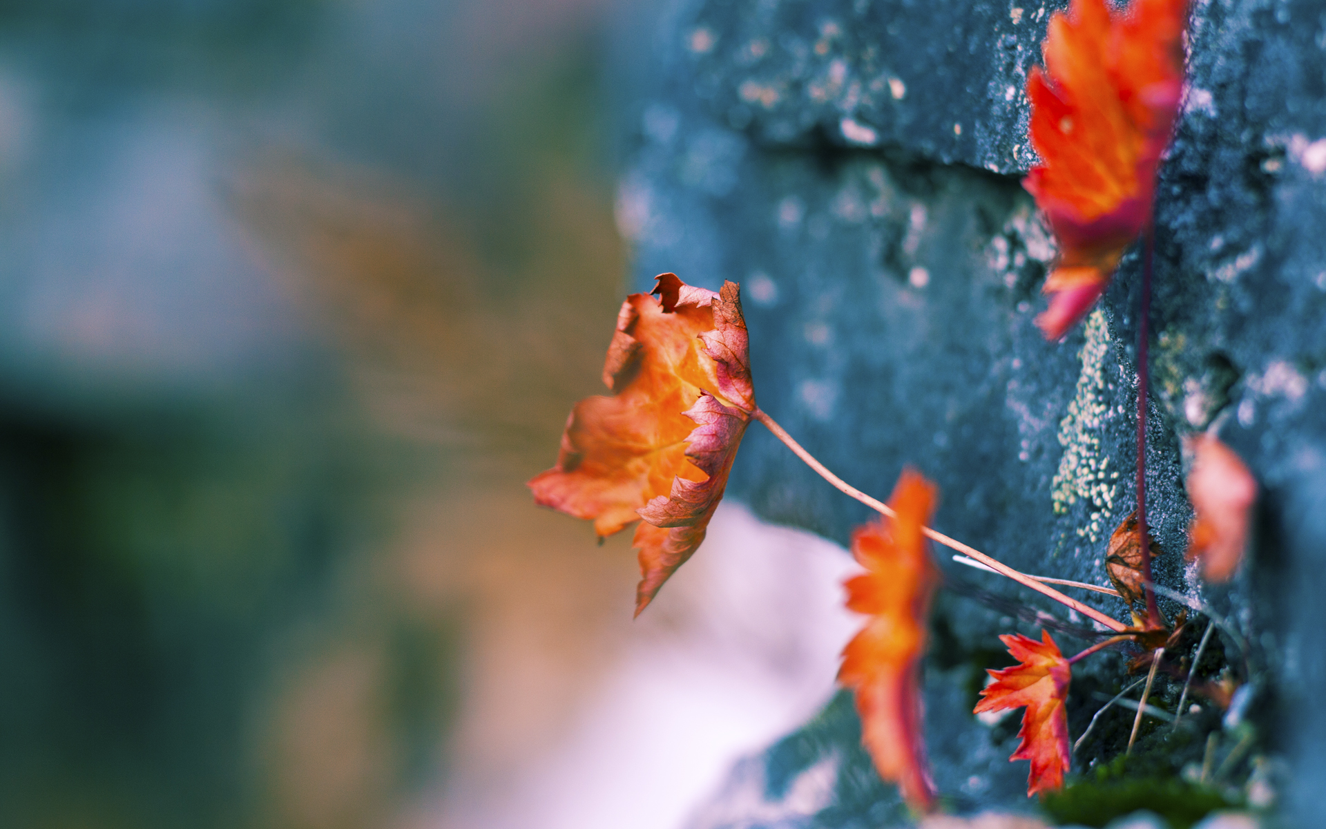 球场奇谭,当秘鲁穿越对阵国际米兰,卡塞米罗如何惊艳四座?