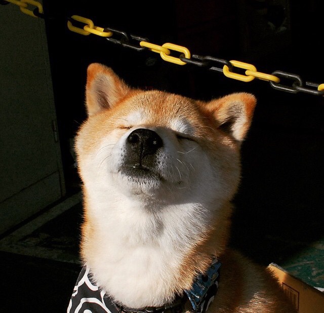 时间的草稿，马赛、加纳与一场永不落幕的决赛