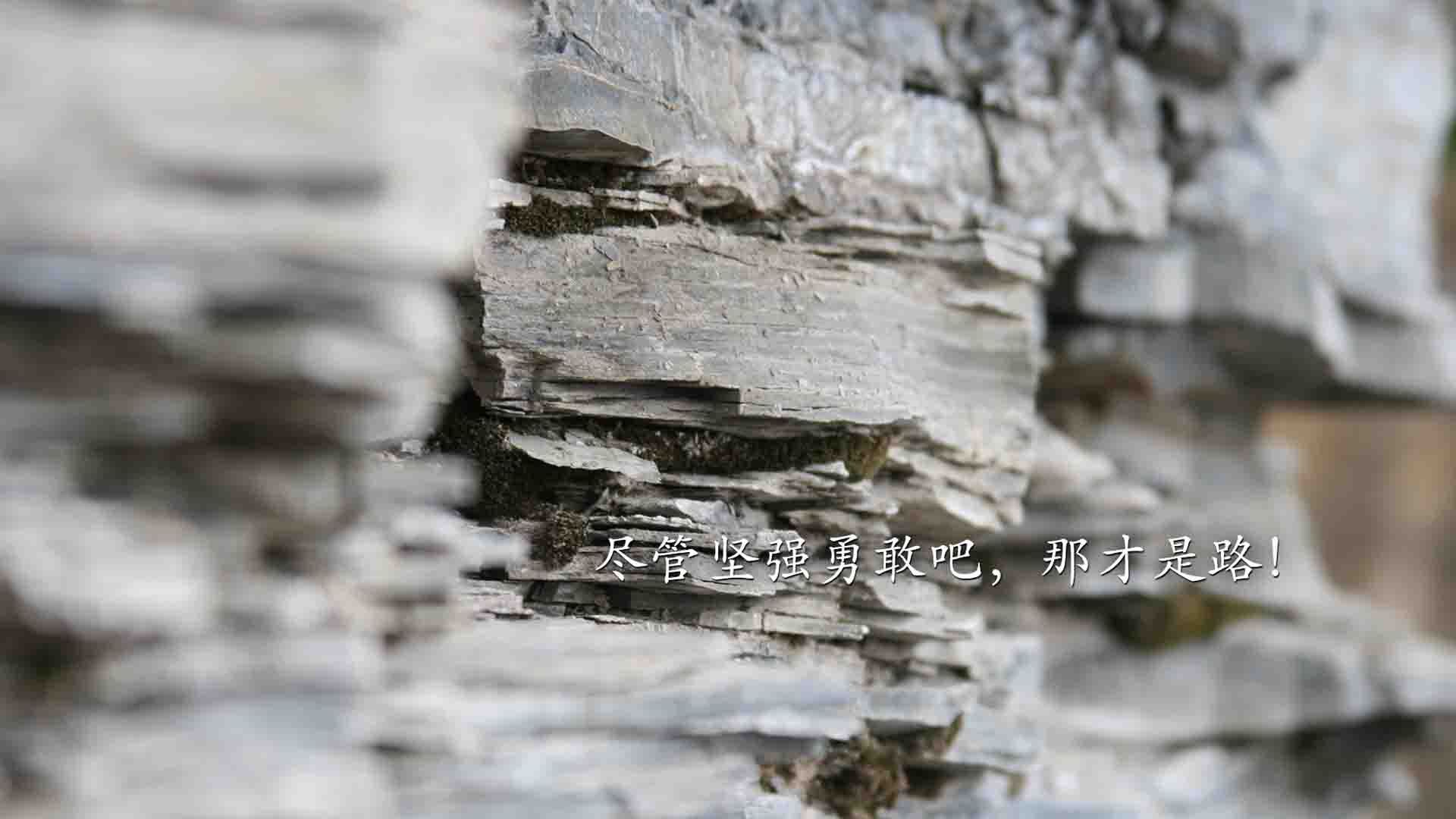 巨兽睁眼时,浓眉在抢七之夜的终极审判