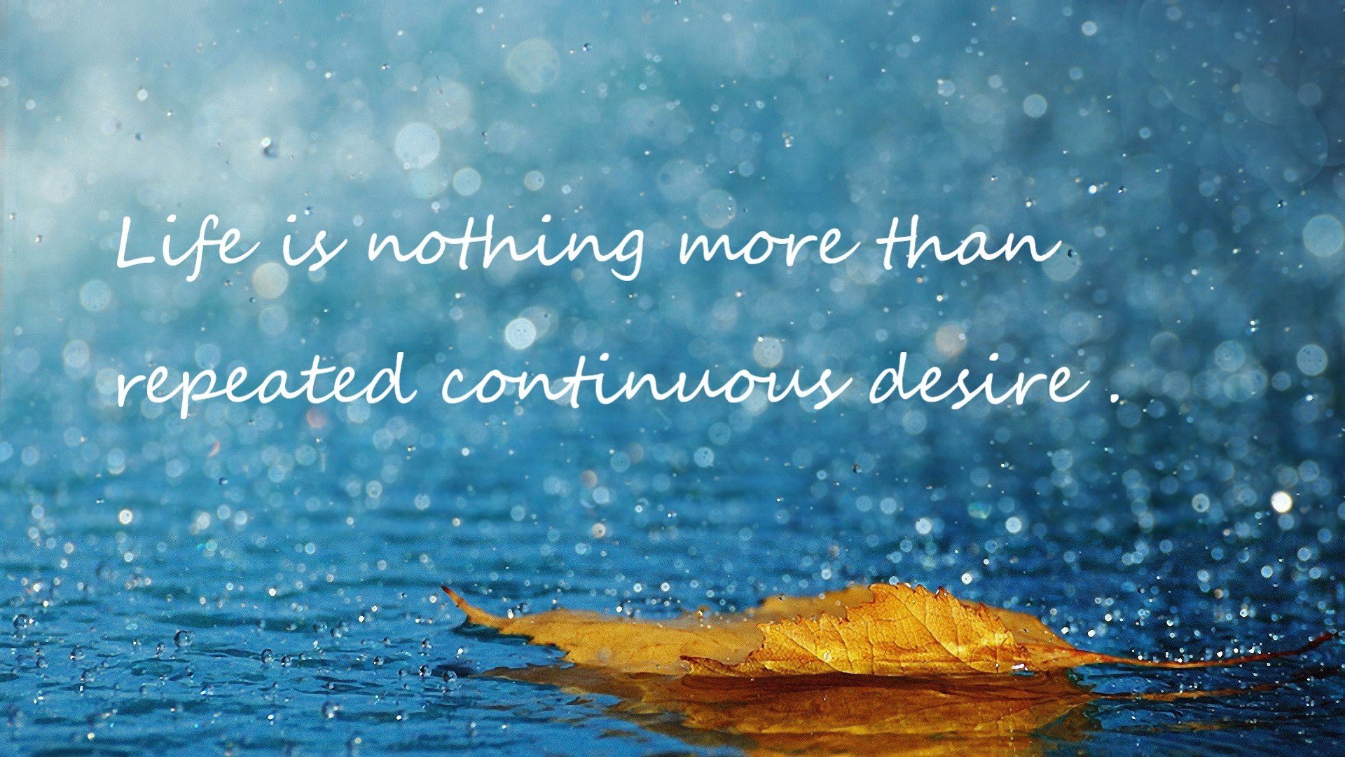 并行奇迹,当阿尔及利亚跨越瑞士,布鲁诺在巴林点燃引擎—竞技之神在同一时空的双重奏