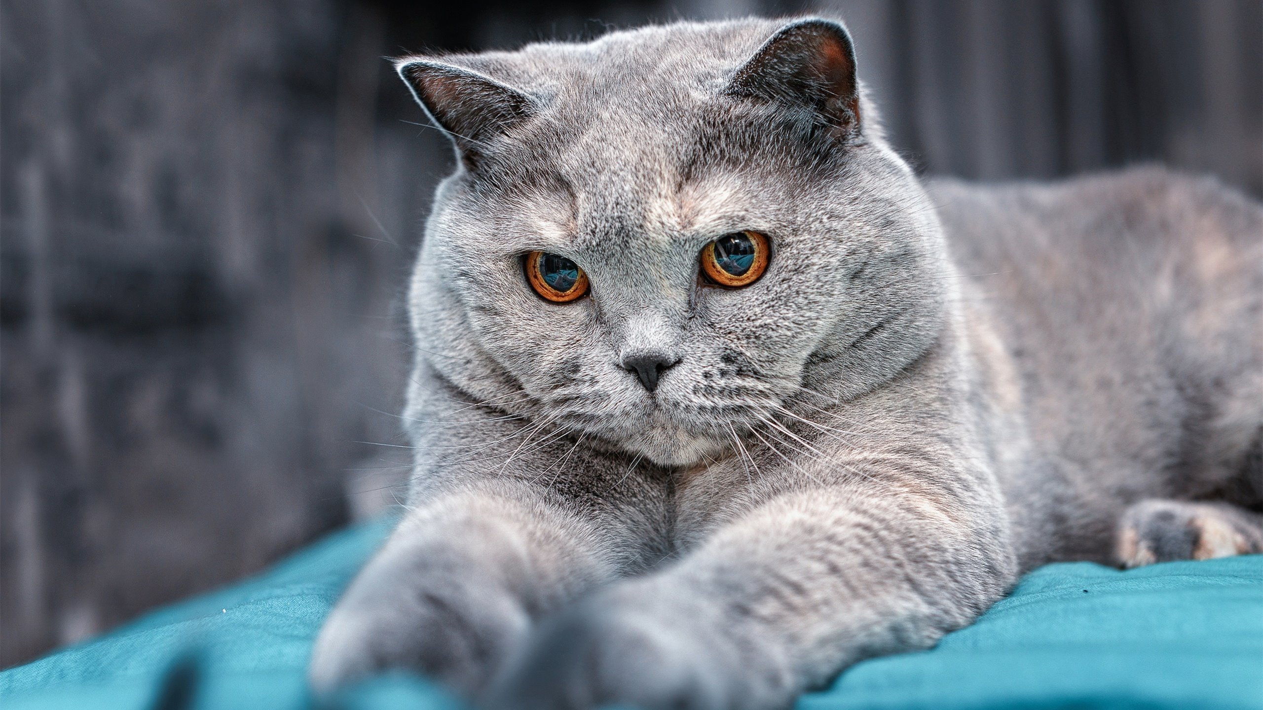 1.金玟哉的致命九分钟,曼联如何从悬崖边完成对毕尔巴鄂的史诗翻盘