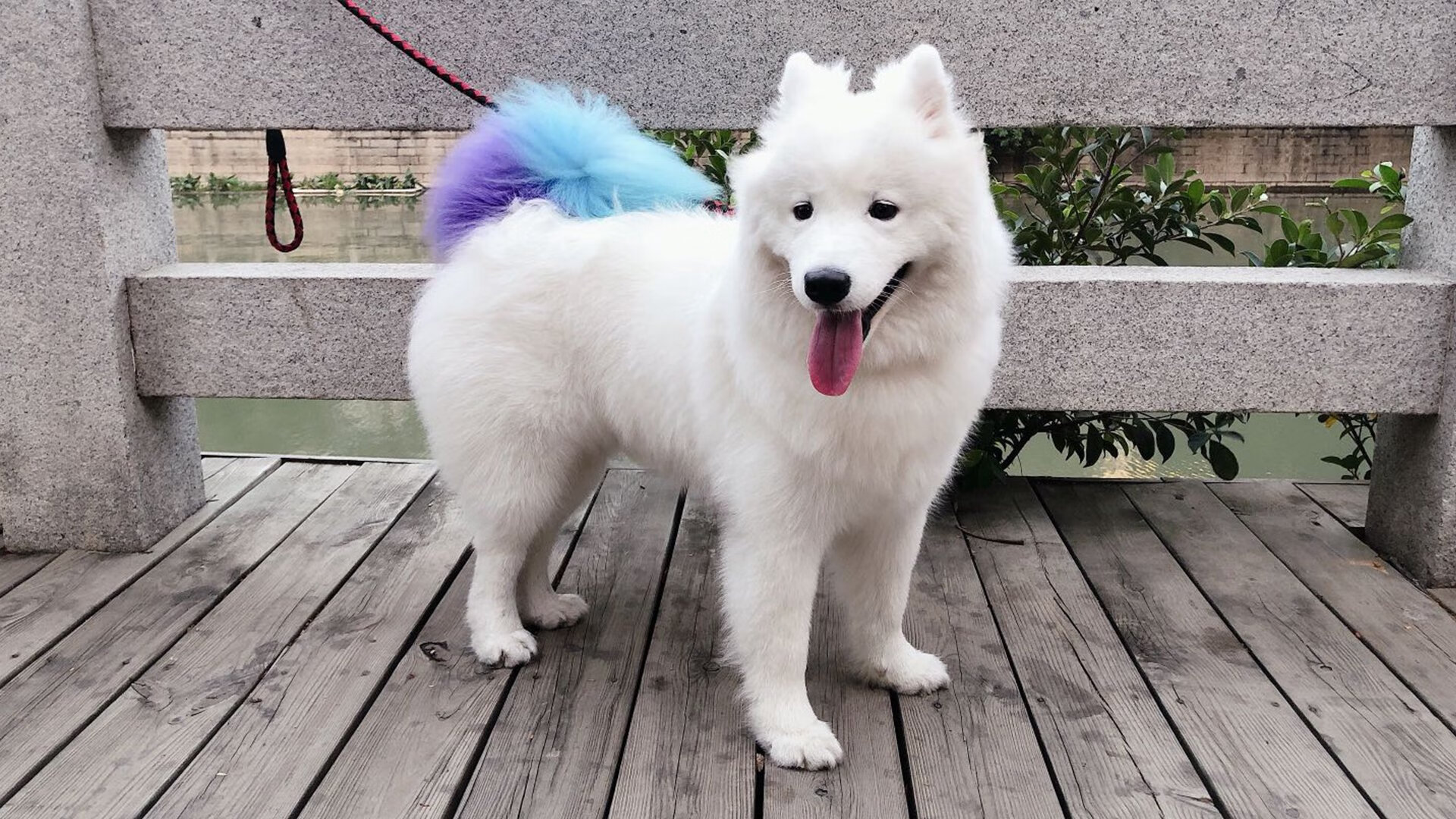 数字暴力，苏亚雷斯10分封神与克罗地亚钢铁洪流的非典型胜利