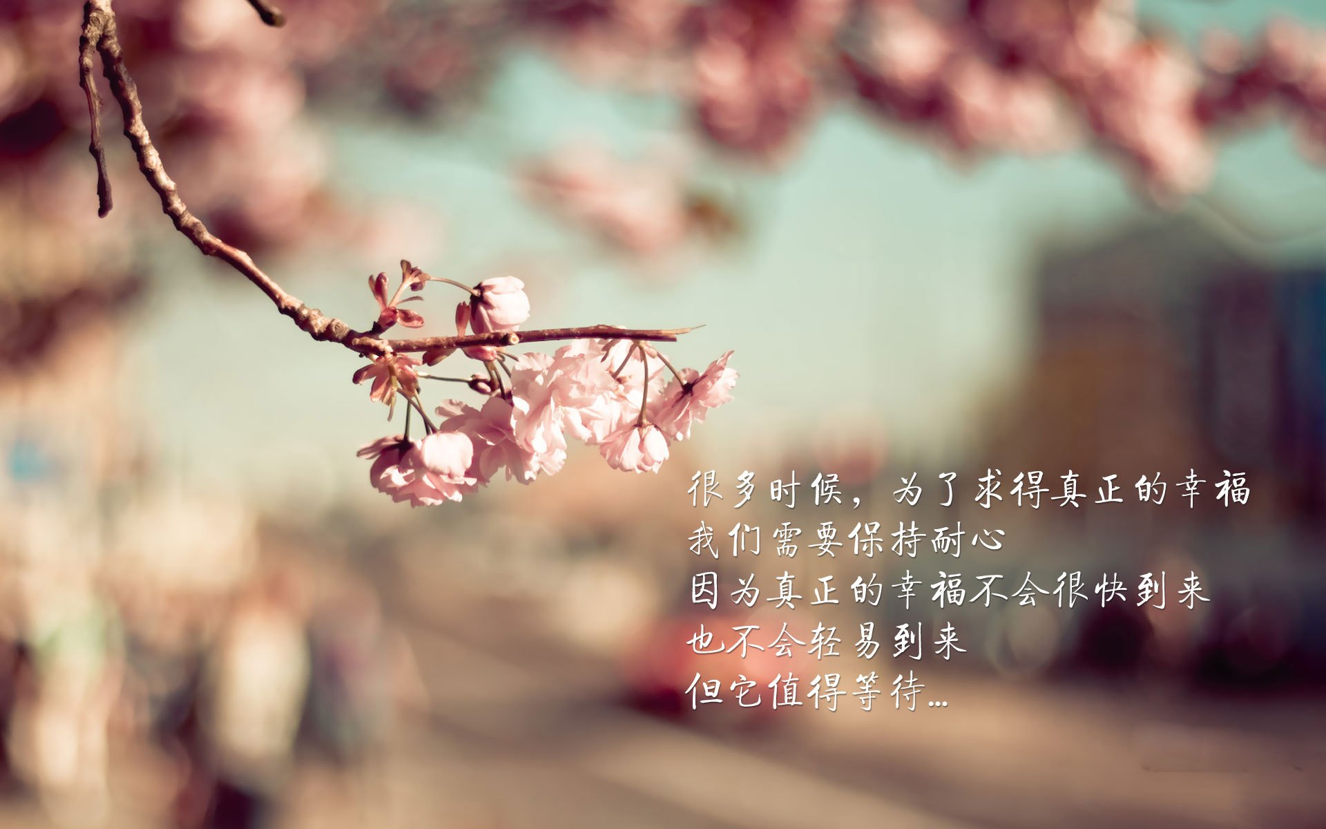 平行宇宙的交汇点，当巴西拿下爱尔兰，卢卡库如何成为关键先生