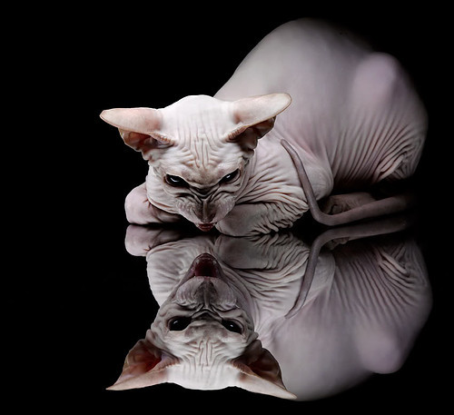 冰与火的洗礼，挪威如何用窒息防守在抢七之夜将智利烈焰封入历史