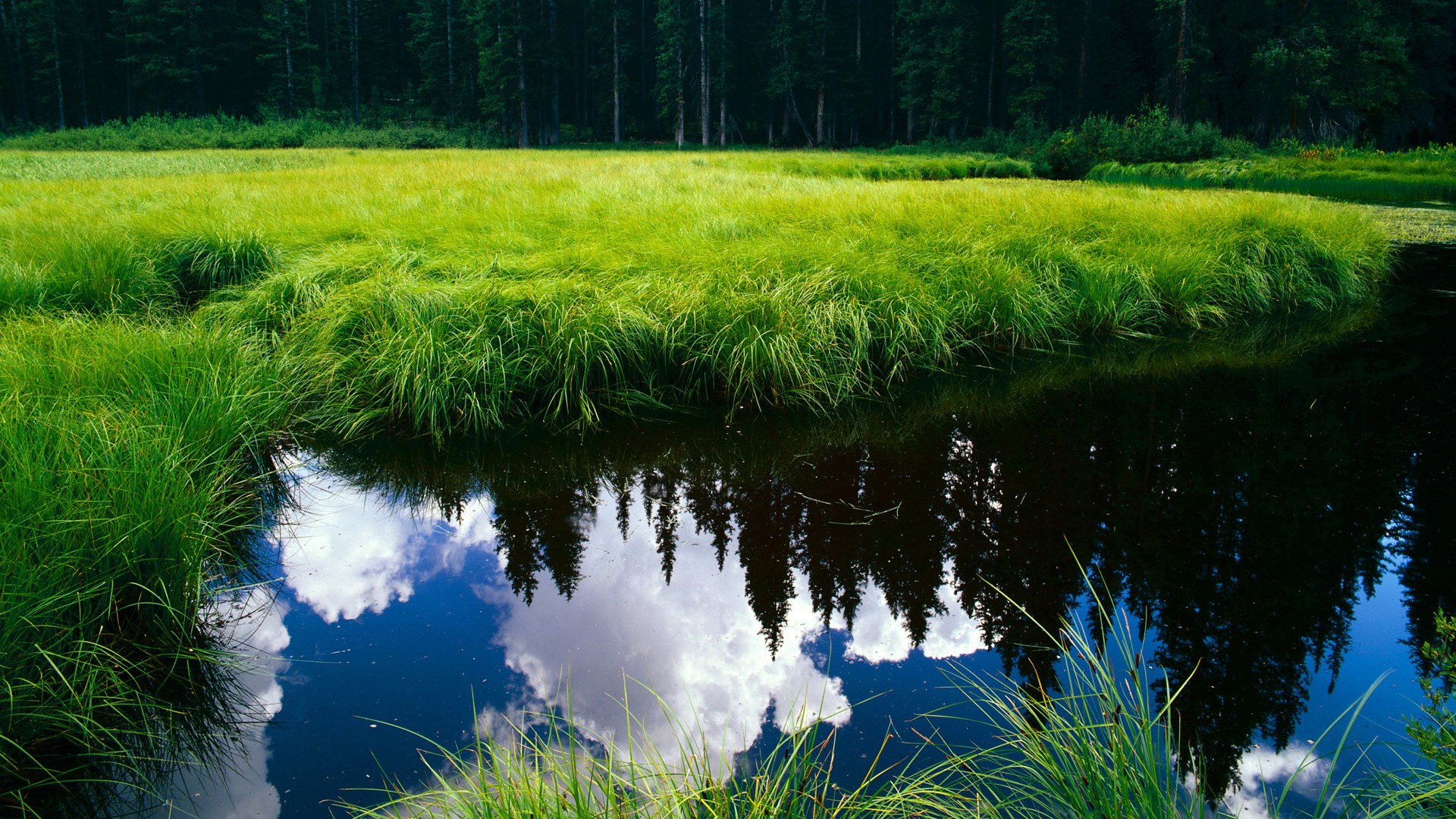 新铁幕，塞内加尔式防守哲学如何压制马赛，以及库尔图瓦的终极答卷