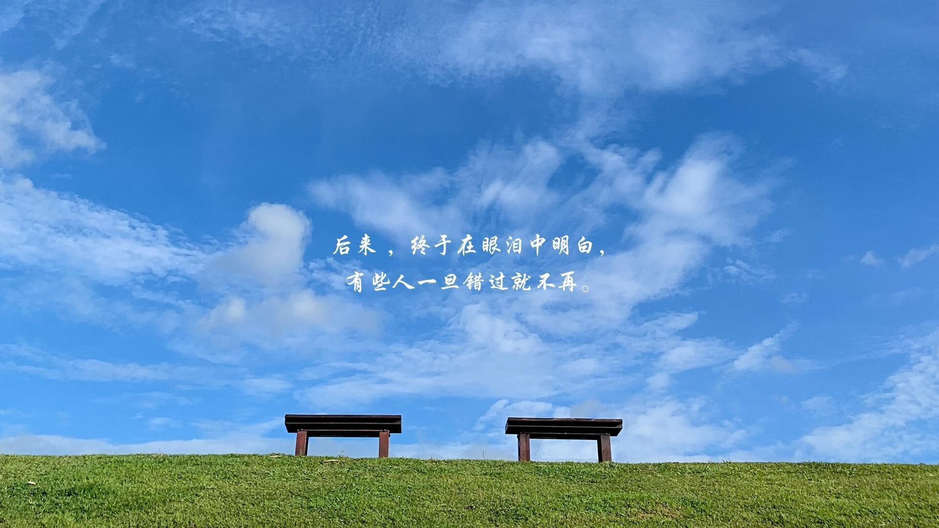 孤星照冷夜,乌兹别克斯坦的奇迹之夜,托纳利如何导演世界杯最大冷门